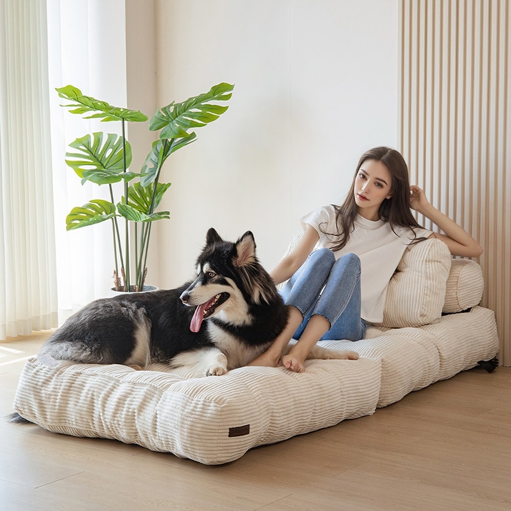 Canapé-lit pliant en velours côtelé 8 places, simple